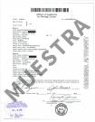 Copia Certificada de Licencia de Matrimonio (Declaración Jurada de la Aplicación) Clark County